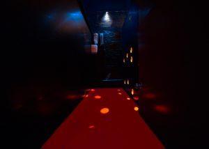 These 3 rooms are at knee height, so you climb into them. With glory holds at multiple heights, you can lie down, kneel or stand up and let the fun happen from the other side of the wall. Very sexy!