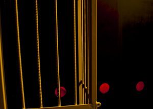 Fulfil your fantasies in the cage.
