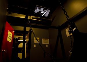 For the voyeur in you ... Room to room live camera action. Watch and be watched or turn the camera off for privacy.